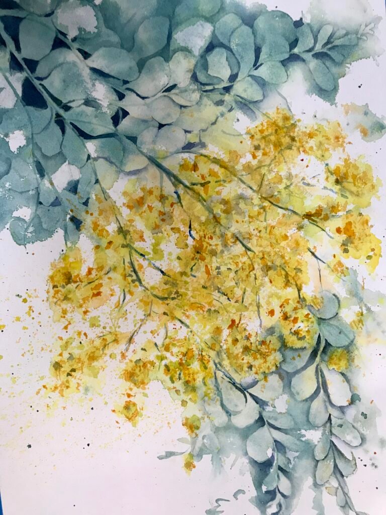 Wattle in watercolour