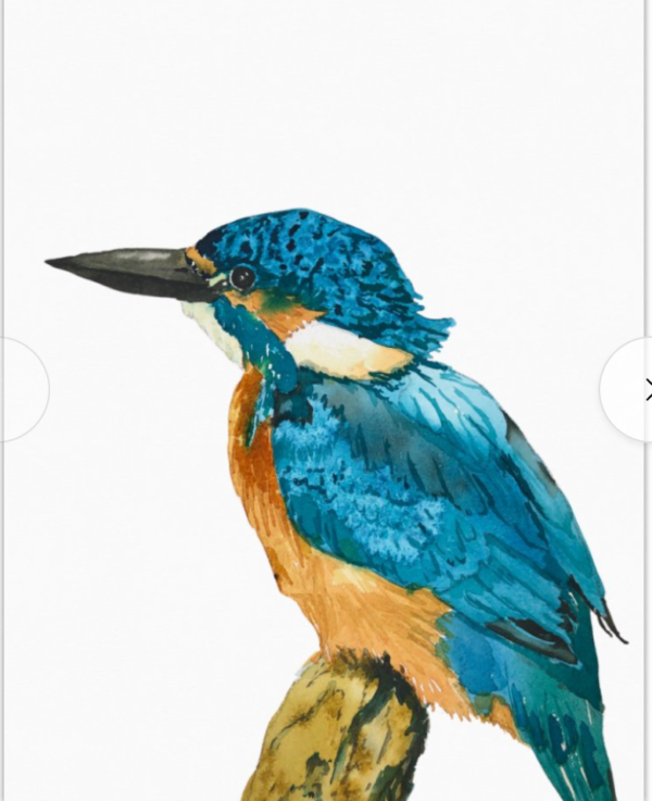 King Fisher Note Card front