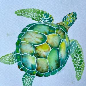 Green Turtle in watercolour