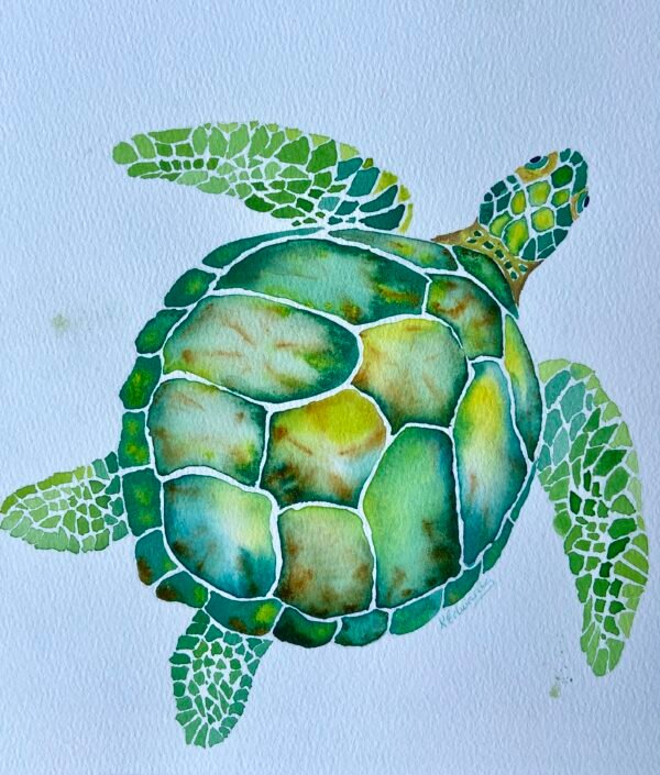 Green Turtle in watercolour