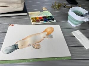platypus Platypus in process