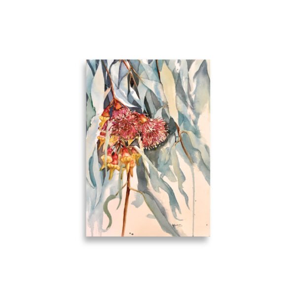 orange gum blossom