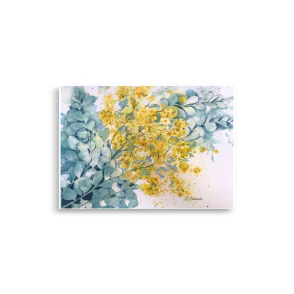 wattle time watercolour