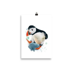puffin
