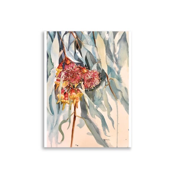 orange gum blossom