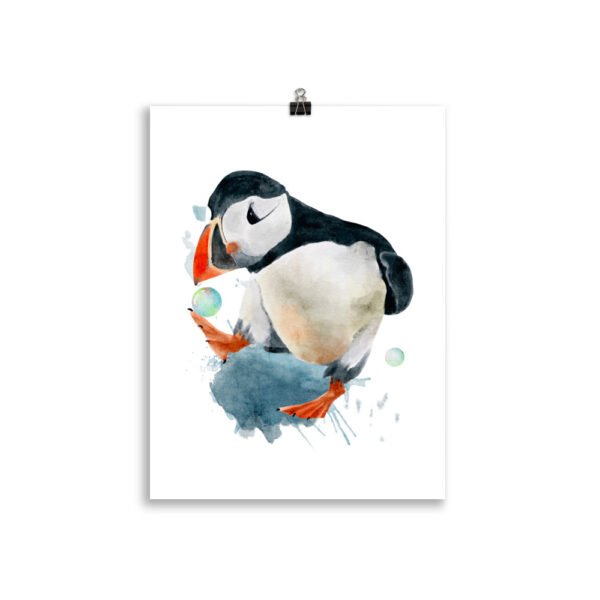 puffin