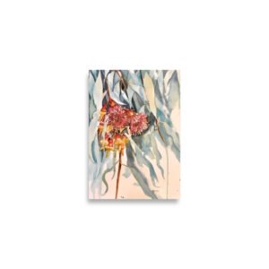 orange gum blossom