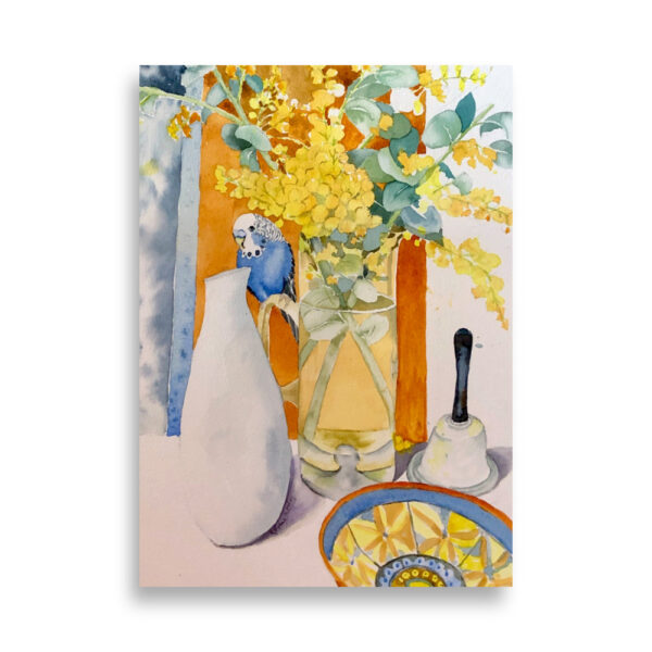 pretty boy and wattle