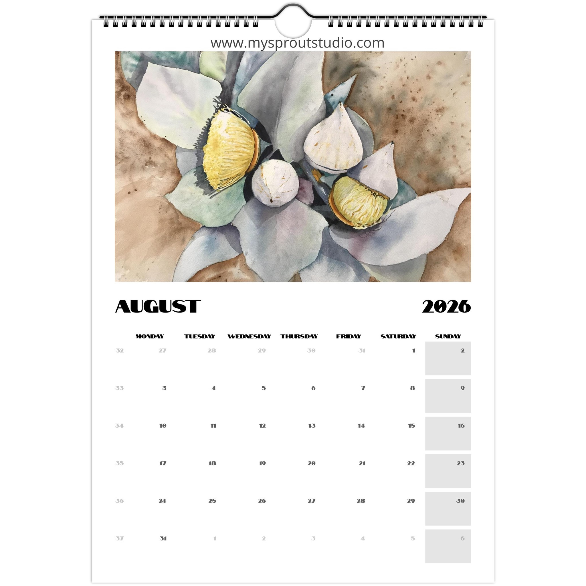 australian blossoms 2026 calendar 2665b21d-f1a2-4f4e-8950-8fc7969a384c