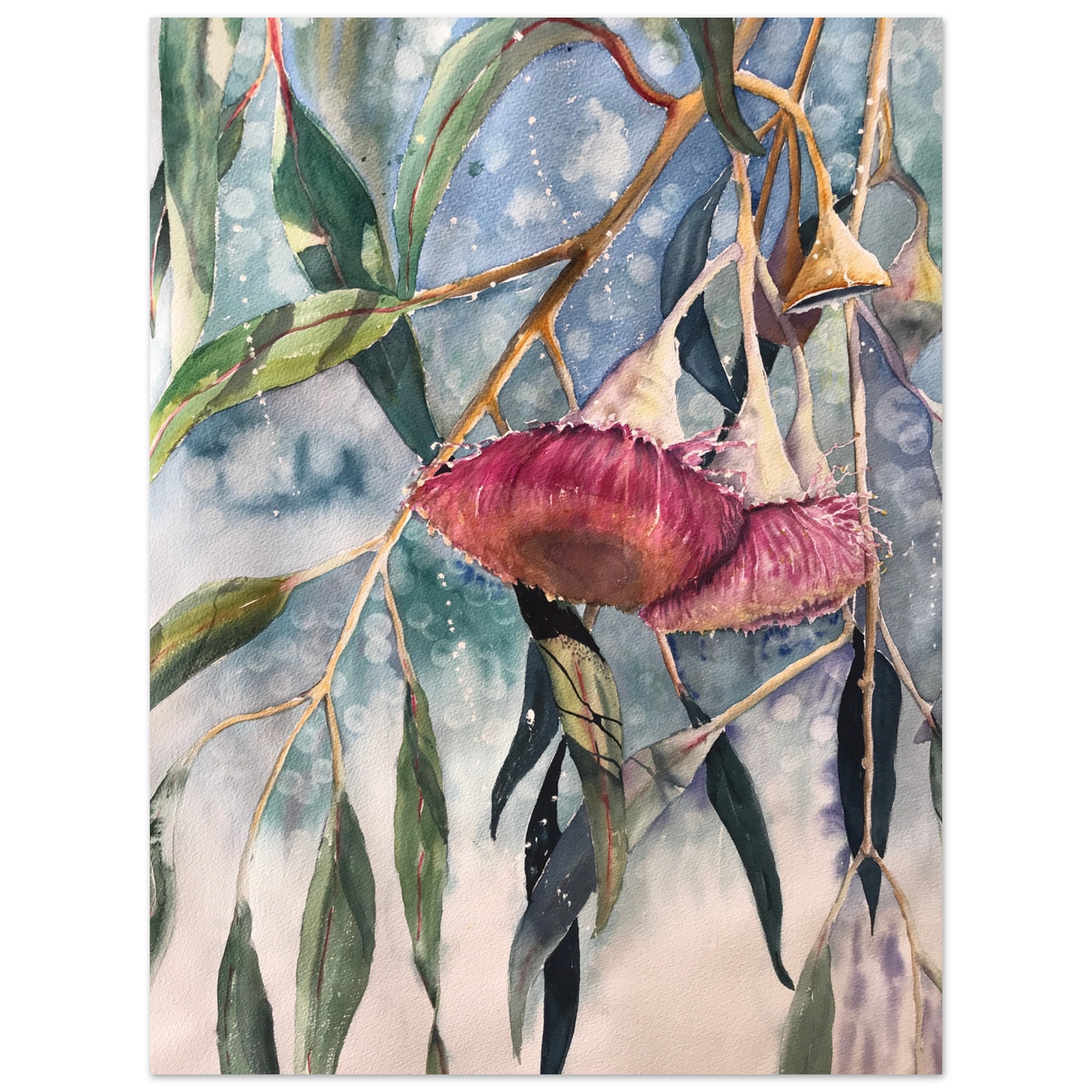 red gum watercolour fine art poster cbc1b844-b01f-4639-887c-ccf3c5e1dc2e