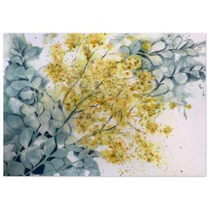 Round Leaf Wattle watercolour print
