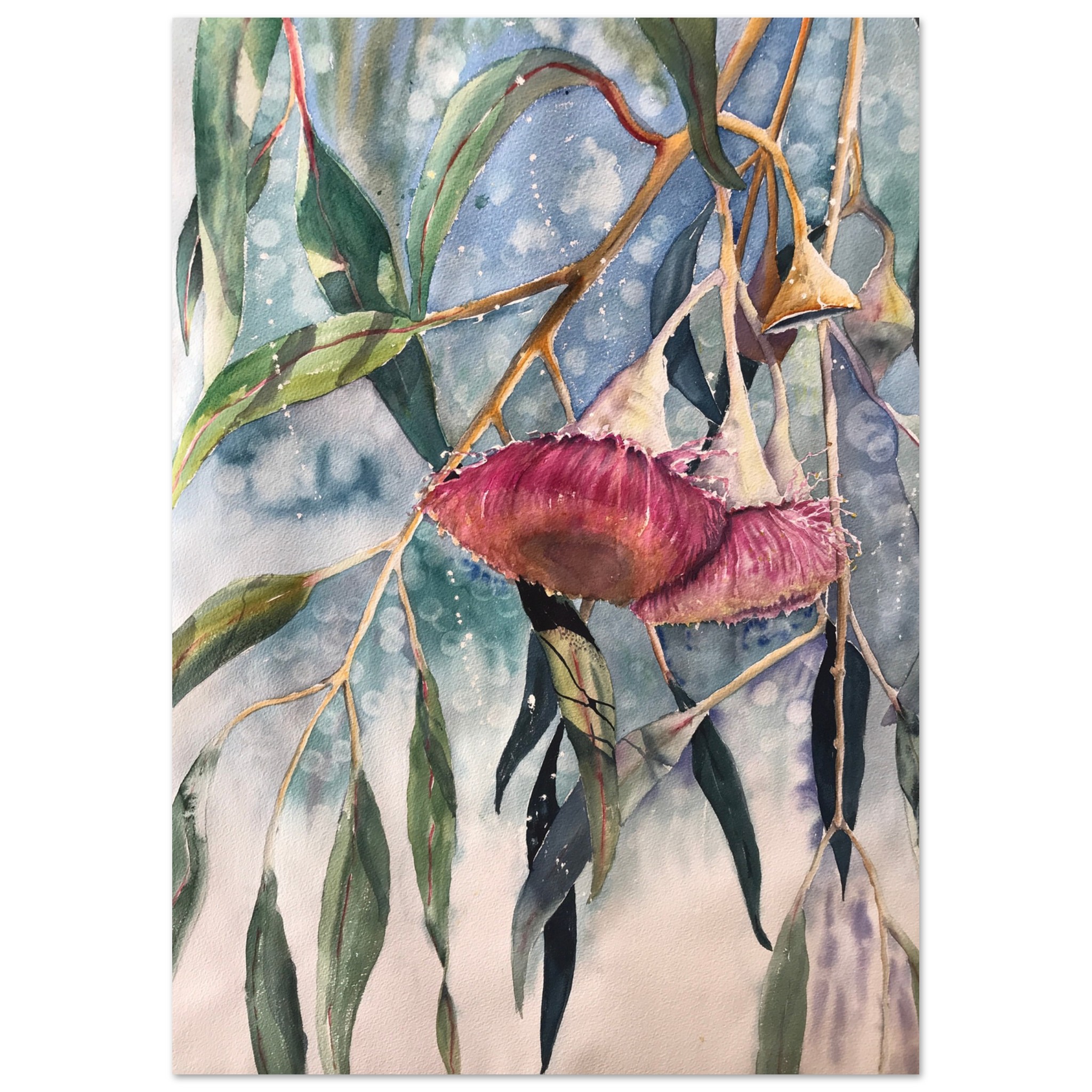 ebf78689 306c 49f9 94bd 909b78cdd436.jpg Red Gum Blossom Watercolour Print – Australian Native Art by Kathy Edwards